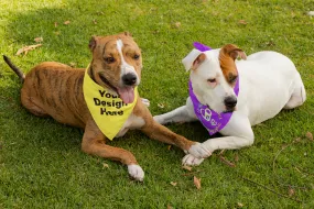 Dog Bandana