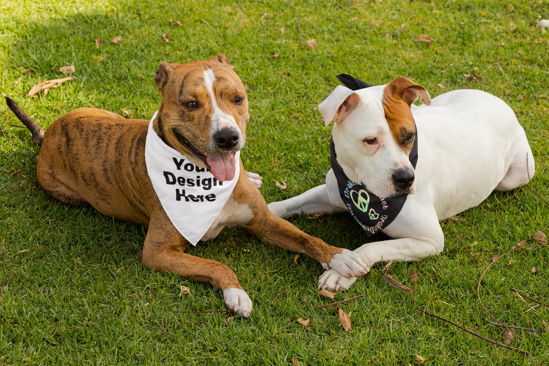 Dog Bandana