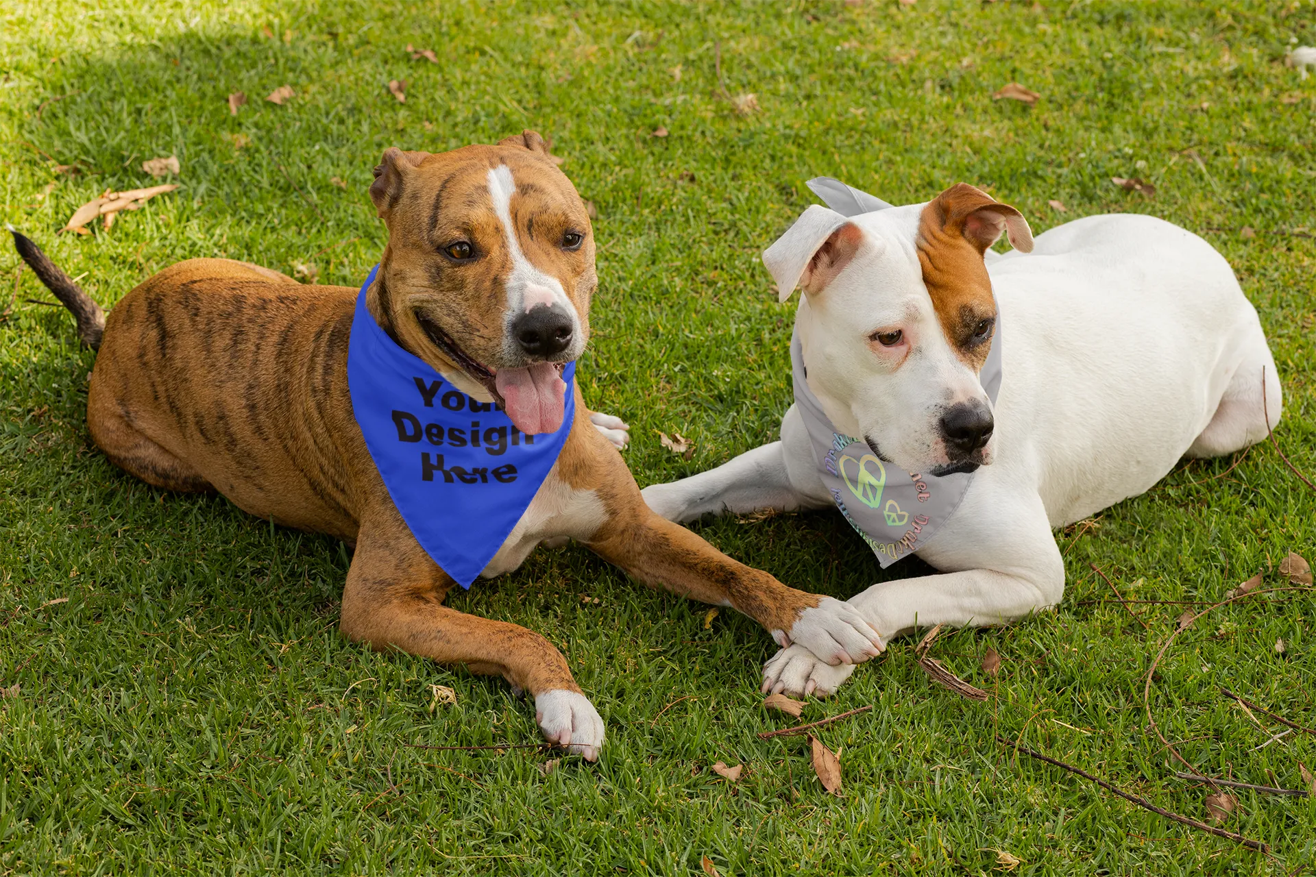 Dog Bandana